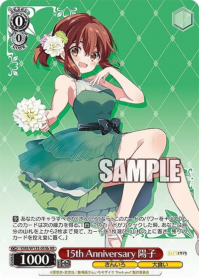 15th Anniversary 陽子(b) 【KMS/W133-055bRR】